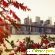 Нью йорк осенью -  - Фото 536815