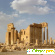 Пальмира -  - Фото 541293