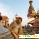 Непал отзывы туристов -  - Фото 610941