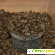 Подмор пчелиный отзывы -  - Фото 614436