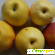 Разгрузочный день на яблоках: отзывы, варианты, меню -  - Фото 776174