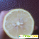 Фрукты лимон -  - Фото 769373