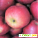 Разгрузочный день на яблоках -  - Фото 800042