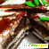 Торт Медоборы Пончо с ананасом -  - Фото 800902