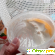 Десерт с манго Слобожанский молокозавод Бабушкина коровка 9% со вкусом Манго -  - Фото 871211