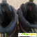 Детские зимние ботинки ECCO Gore-Tex Snowride -  - Фото 875106