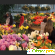 Аптекарский огород ботанический сад мгу - Музеи и выставки - Фото 924530
