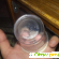 Одноразовые прозрачные стаканы BTC -  - Фото 931301