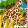 Фотошторы Сирень «Жирафы» -  - Фото 939173