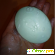 Крем-мыло Dove Прикосновение нежности -  - Фото 951459