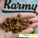 Сухой корм Karmy Sterilized для стерилизованных кошек и кастрированных котов с лососем -  - Фото 1008024