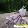 Велосипед детский Schwinn Jasmine -  - Фото 1013057