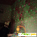 Лазерный проектор Star Shower Laser Light -  - Фото 1034902