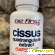 Be First Cissus Quadrangularis Extract (Экстракт Циссуса) Capsules 120 капсул -  - Фото 1037984