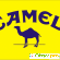 Camel original blue -  - Фото 1104655