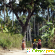 Остров занзибар отзывы туристов -  - Фото 1109541