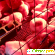 Антибиотик для Цыплят -  - Фото 1125464
