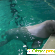 Дельфинарий красноярск адрес и цены 2023 год -  - Фото 1132601