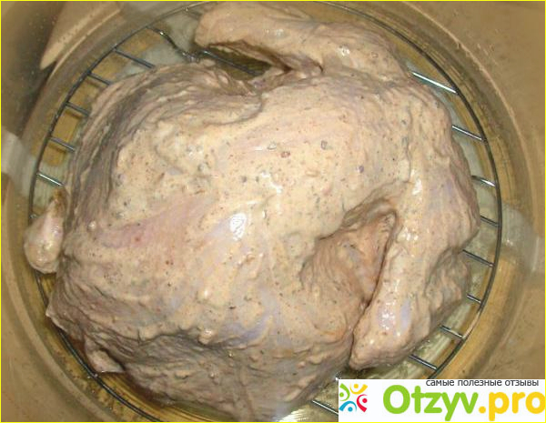 Отзыв о Как запечь курицу в аэрогриле