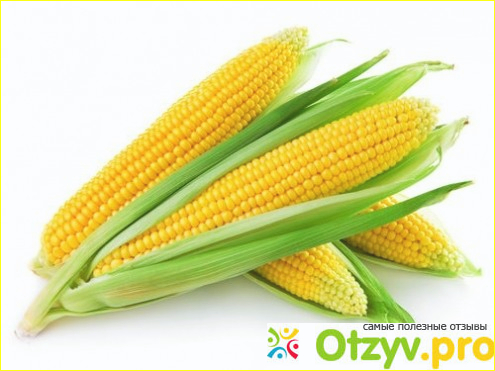 Отзыв о Чем полезна кукуруза