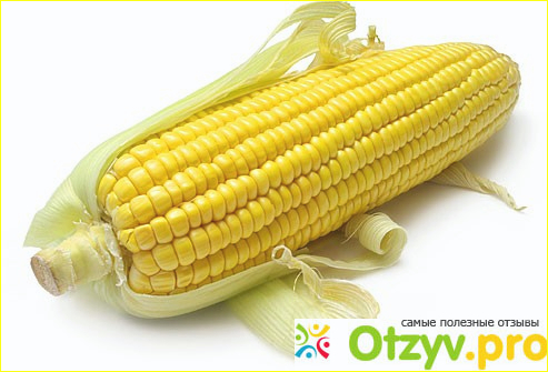 Отзыв о Опасные свойства кукурузы