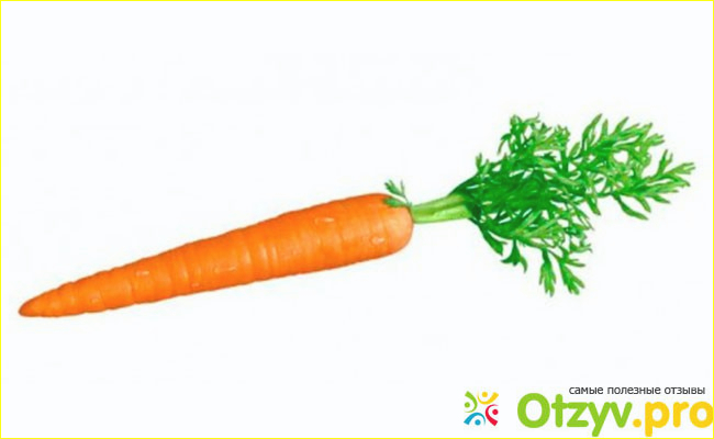 Отзыв о Опасные свойства моркови