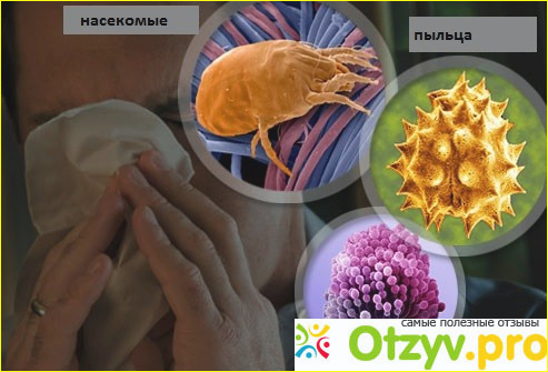 ПРОФИЛАКТИЧЕСКИЕ МЕРЫ