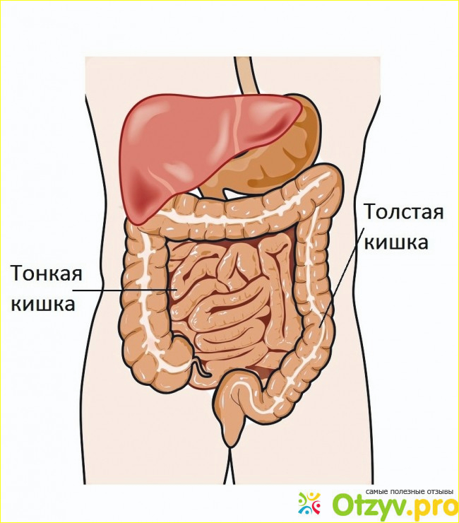 Схема болезни кишечника