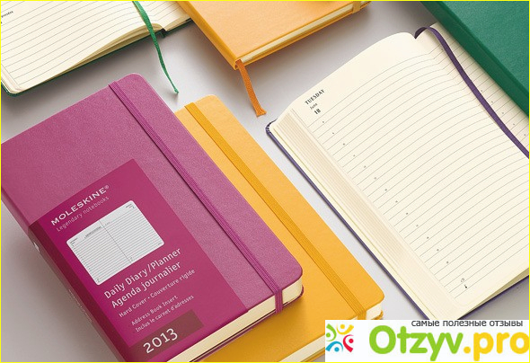 ЕЖЕДНЕВНИК молескин советы и инструкции 16:08 2024