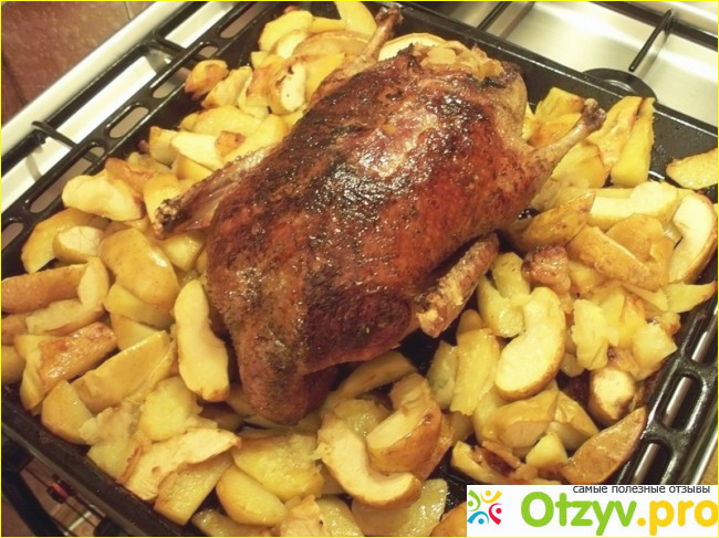 Жареная ножка гуся с картофелем и красной капустой. Немецкая тарелка