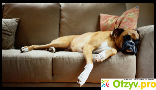 Лежу на диване фото2