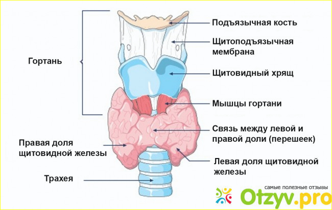 Причины гипотиреоза