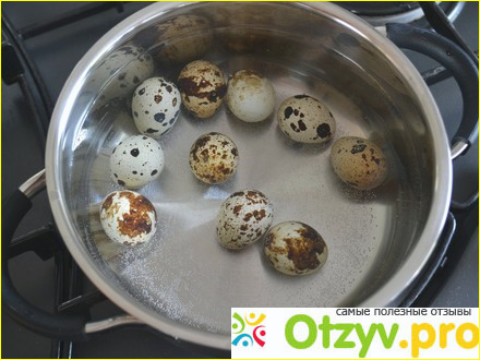 Как проверить перепелиные яйца на свежесть