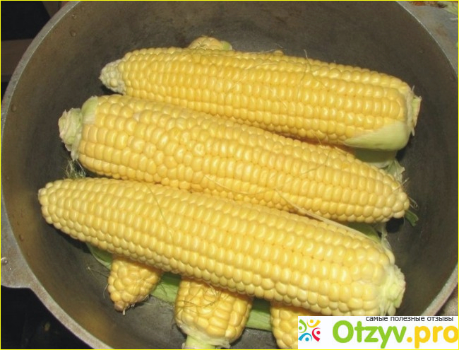 Отзыв о Рецепт вареной кукурузы