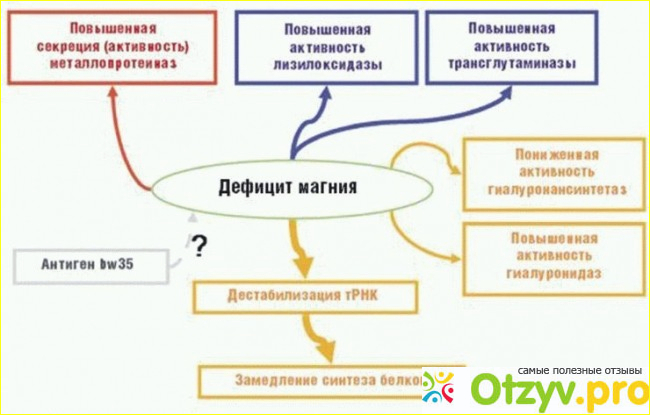 Как принимать Магне В6?