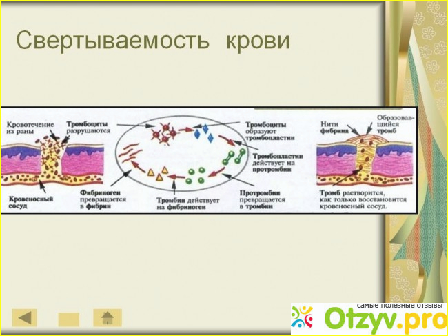 Диагностика и показатели