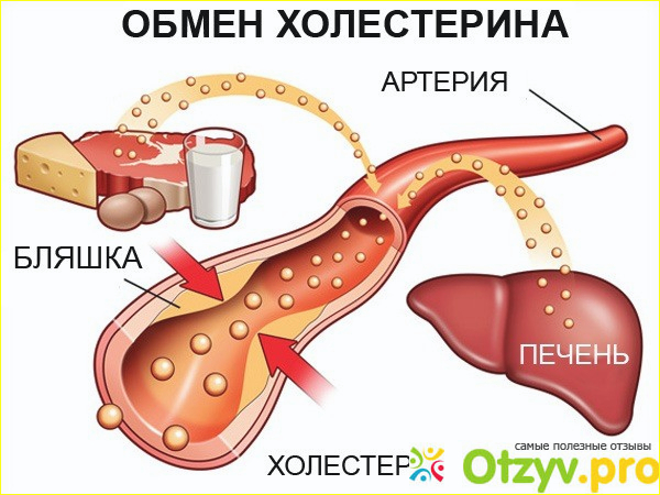 Мертенил фото1