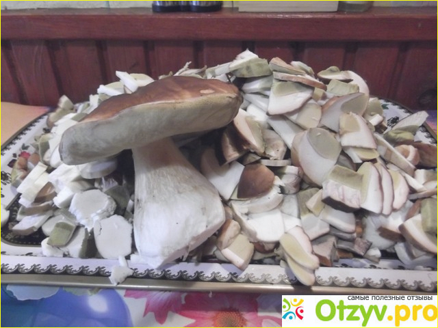 Сушеные грибы фото2