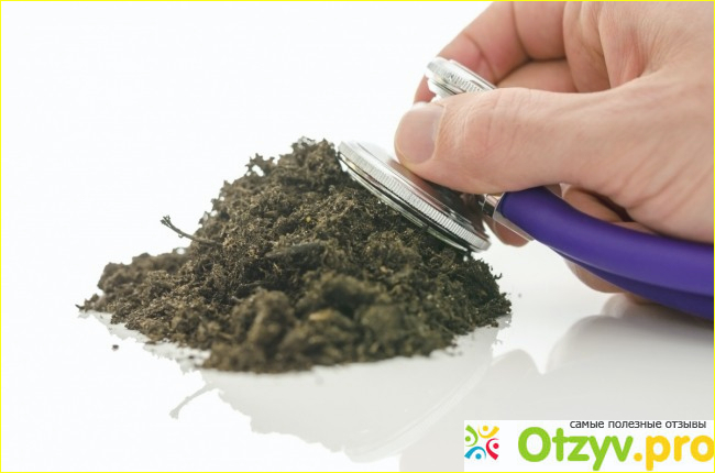 Снижение рН почвы, чтобы сделать его более кислой
