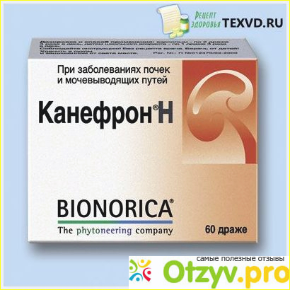 Лекарство для почек. Лекарства при воспалении почек у женщин. Лекарства при воспалении почек у женщин. Лекарства при воспалении почек у женщин. Лекарства при воспалении почек у женщин.