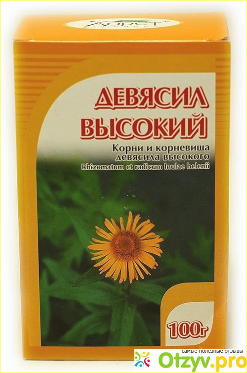 Цветы
