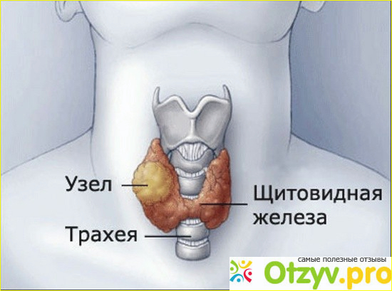 Показание к применению:
