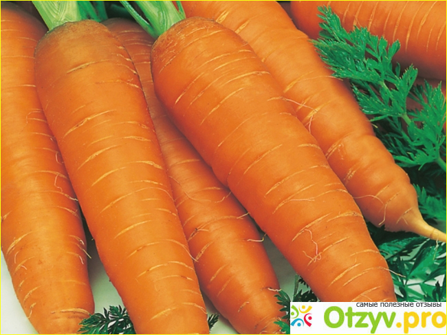 Отзыв о Как хранить морковь