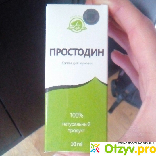 Простодин