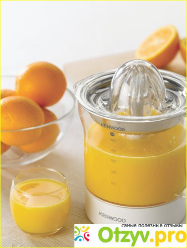 Отзыв о Соковыжималка для цитрусовых Kenwood JE290