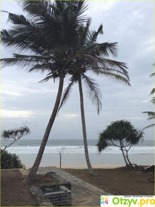 KOGGALA BEACH HOTEL 3* фото2