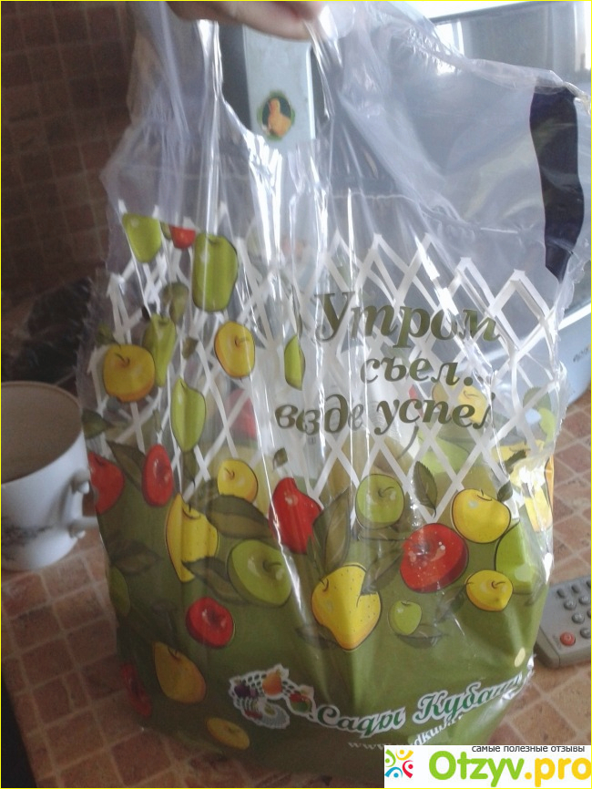 Яблочная диета фото1