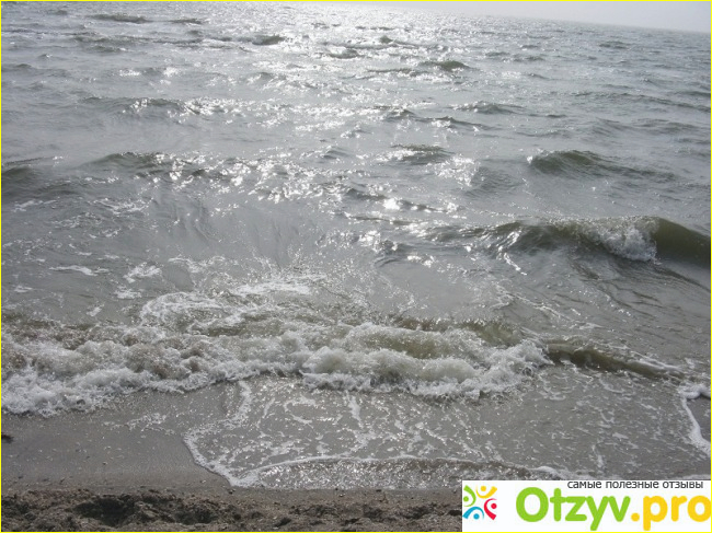 Азовское море фото4