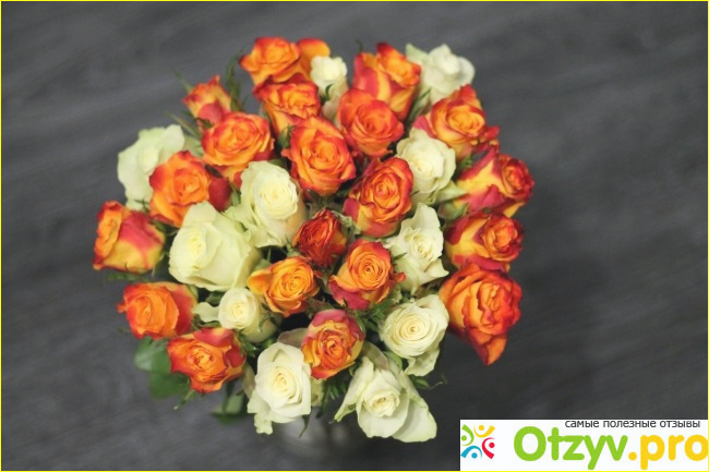 Canon EOS 500D фото1