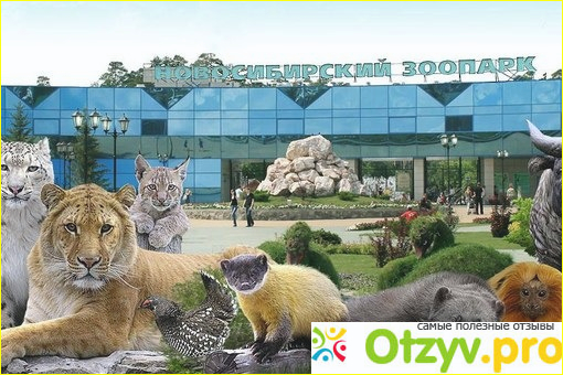 Отзыв о Новосибирский зоопарк (Россия. Новосибирск)